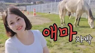 No31-(Eng) 🐴🐱동물농장 차박 / 차량 냉장고 , 트렁크 모기장 여름 차박 준비완료