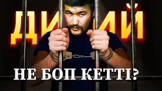 Дикий Арман туралы не белгілі