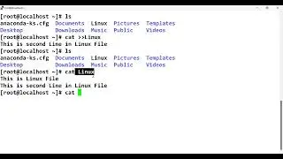 Cat Command in Linux