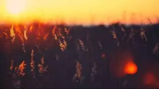 Knxwledge - SeentYew [Kaligraph E Remix]