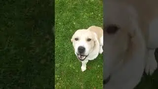 Юлдуз с Дачной, 2 года