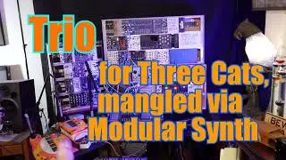 Three Meowsic keyboards mangled in a modular synth - a space-jazz improv