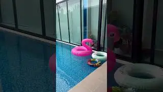 Прелести жизни На Вилле😂🤪❤️🇹🇭 
