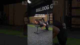 THE KOALA CHALLENGE 🐨
