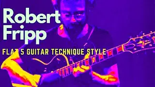 Robert Fripp 