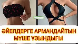 ӘЙЕЛДЕР АРМАНДАЙДЫ