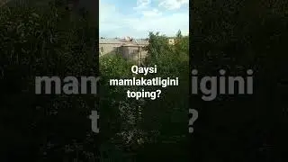 Musofirning hayoti qaysi yurt topingchi?