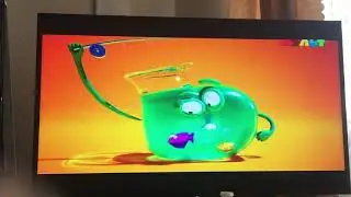 Мульт новая нылытро влцилуь