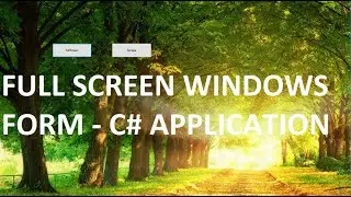 How to make a full screen Form working 100% [C# Application]