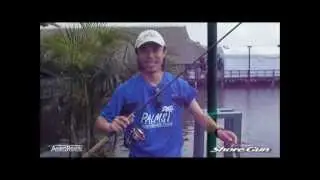 7Seas Plams Molla & Shore Gun Rod