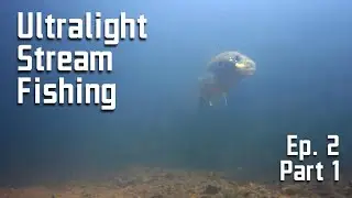 Ultralight Fishing (Ep. 2 - Pt. 1) - Peaceful Stream | 70 dinks and slabs!