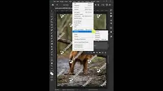 Easily Remove Watermarks from Photos in Photoshop #removewatermark #graphicdesign #graphictips
