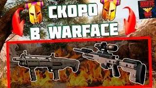Новая Снайперская Винтовка AT308 В Warface | Двуствольный Дробовик DP-12