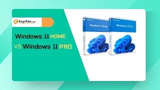 Windows 11 Home Vs Pro:丨Which one is best for you to upgrade?(2022)