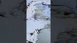 #sakarya