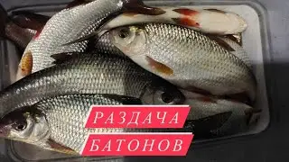 Ловля  плотвы.Зимняя рыбалка со льда.Рыбалка  2022.