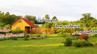 Все про дачу