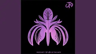 Iris - Acoustic Version