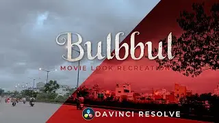 Bulbbul Movie Color look Recreation | Davinci Resolve | Netflix