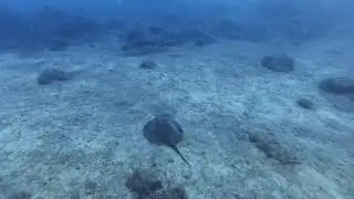 El Salto, El Hierro, Octubre de 2020