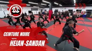 Kata Heian-Sandan Avec Les Ceintures Noires De Karaté Shinka-Ryu