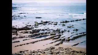 Rhizome -  La becada y la almeja