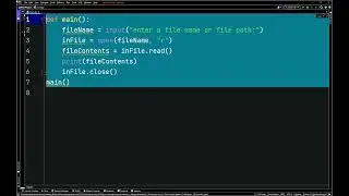Python Exceptions IOError