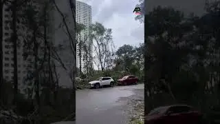Motorcyclists navigate around broken branches after #Hanoi battered by #Typhoon #Yagi