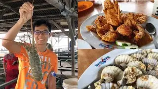 Batam Live Kelong Seafood & Full Day Tour of Harris Barelang Batam Beach Resort @ Indonesia