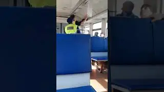 суетолог 1