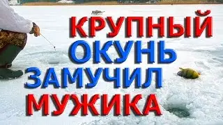 Приколы на рыбалке. КРУПНЫЙ ОКУНЬ замучил мужика !
