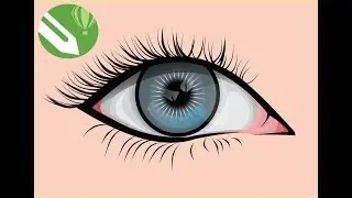 Tutorial Membuat Vector Mata  Menggunakan CorelDraw