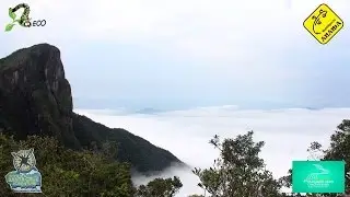 Q. ECO: Pico do Corcovado - Ubatuba / SP - Brasil