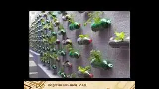 Вертикальный сад. Идеи для сада и балкона.