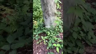Careful!!