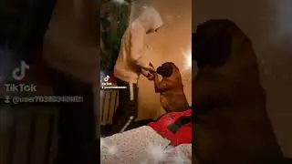 Друг на все життя.