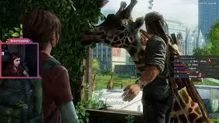 The Last of Us day 5 финалочка