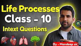 Life Processes class 10 Questions & Answers Science Biology | CBSE NCERT | Intext