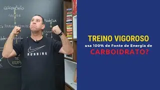 Treino Vigoroso usa 100% de Fonte de Energia de Carboidrato? (Ciclo de Krebs)