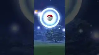 shiny litten#pokemongo #shinypokemon #pokemon #trendingshorts  #anime