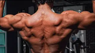 Back and Biceps