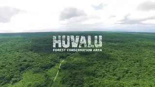 Huvalu Forest Conservation Area - Niue
