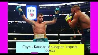 Сауль Канело Альварес безоговорочный король бокса
