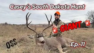 Casey's South Dakota Hunt - Giant Muley Down!