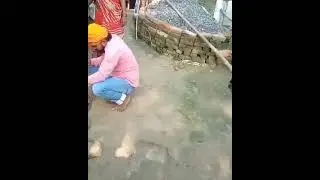 साँप के साथ खेलना पड गया भारी  #shorts
