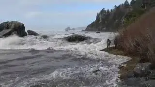 Arms of the Sea