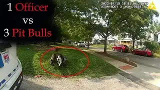 1 Officer Vs 3 Pit bulls