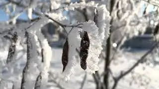 19.12.2022_06
