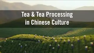 Tea & Tea Processing in Chinese Culture