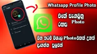 whatsapp profile photo tricks#